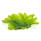 Daum Tutti Frutti Large Bowl 175ex
