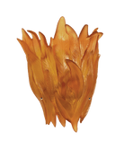 Daum Végétale Wall Lamp Wall Sconce — Amber