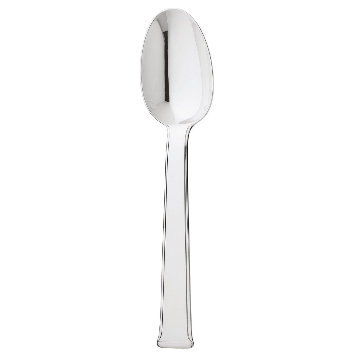 Ercuis Séquoia Table Spoon, 8 in – Stainless Steel