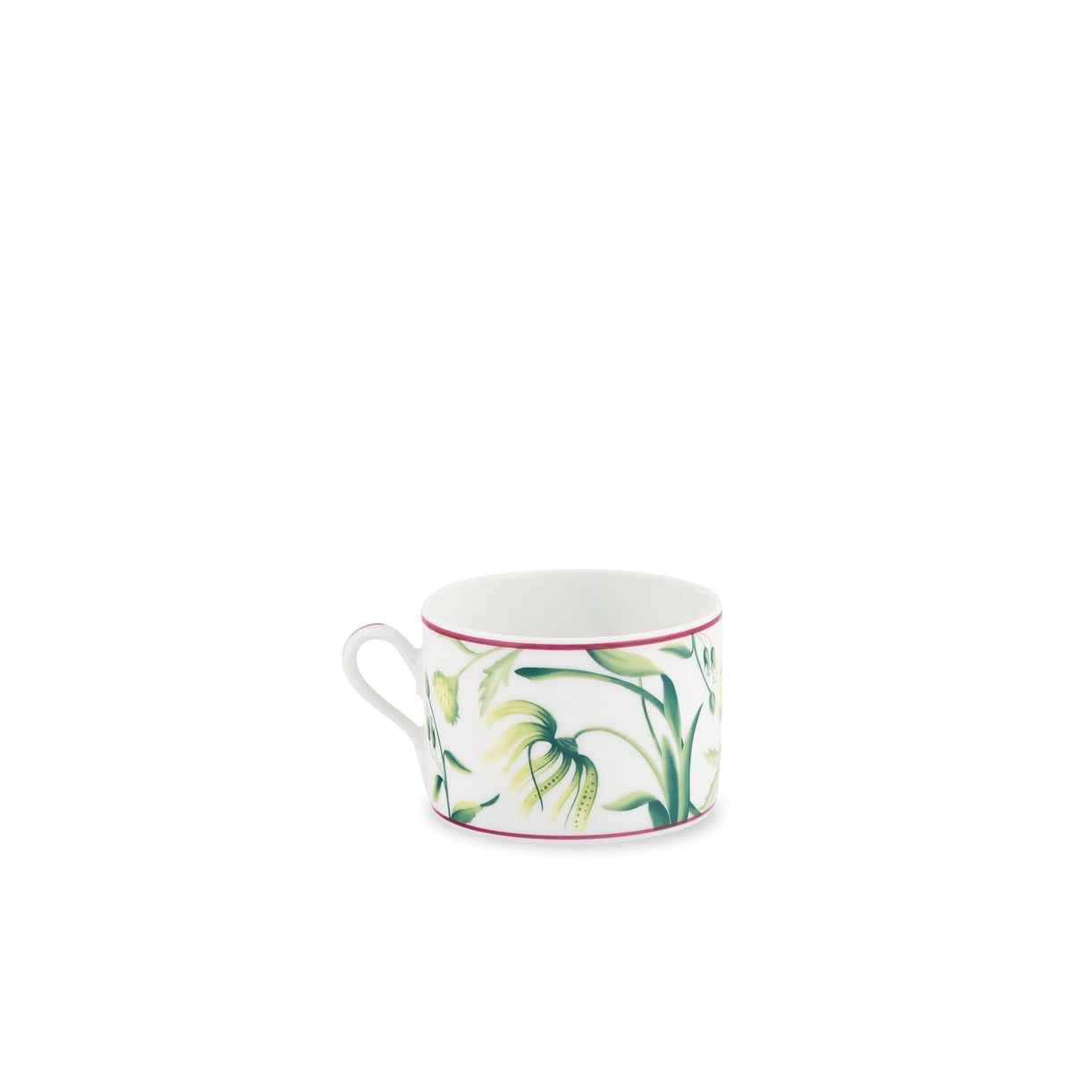 Ginori 1735 Florenza Tea Cup, Acanto, view 2
