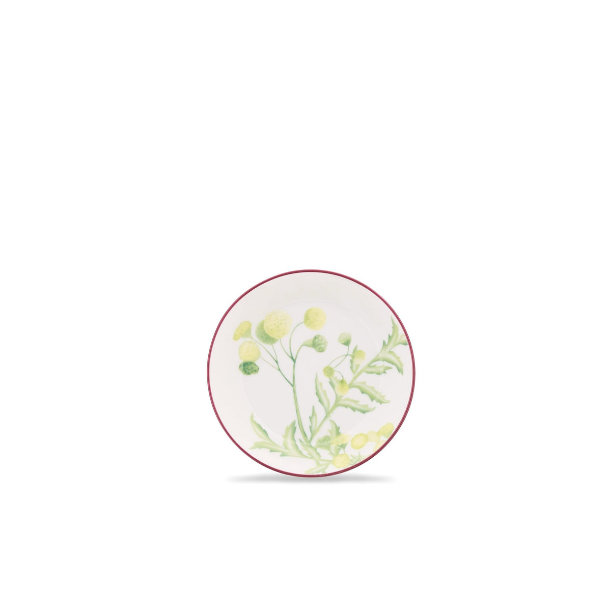 Ginori 1735 Florenza Tea Saucer, Acanto