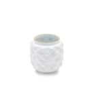 Ginori 1735 Officina Ultra Vase with Lid Cloud, Soft Organic Surfaces, view 4