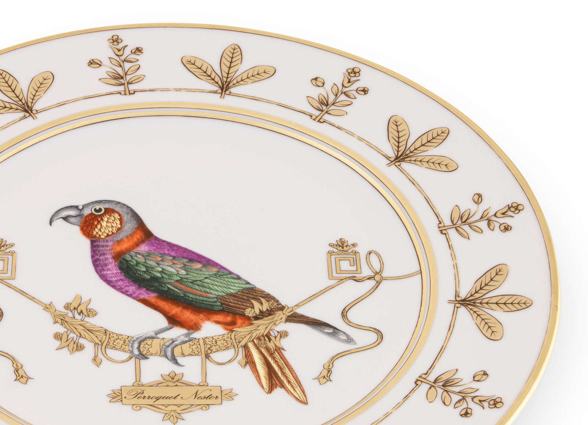 Ginori 1735 Voliere Charger Plate, Perroquet Nestor, view 3
