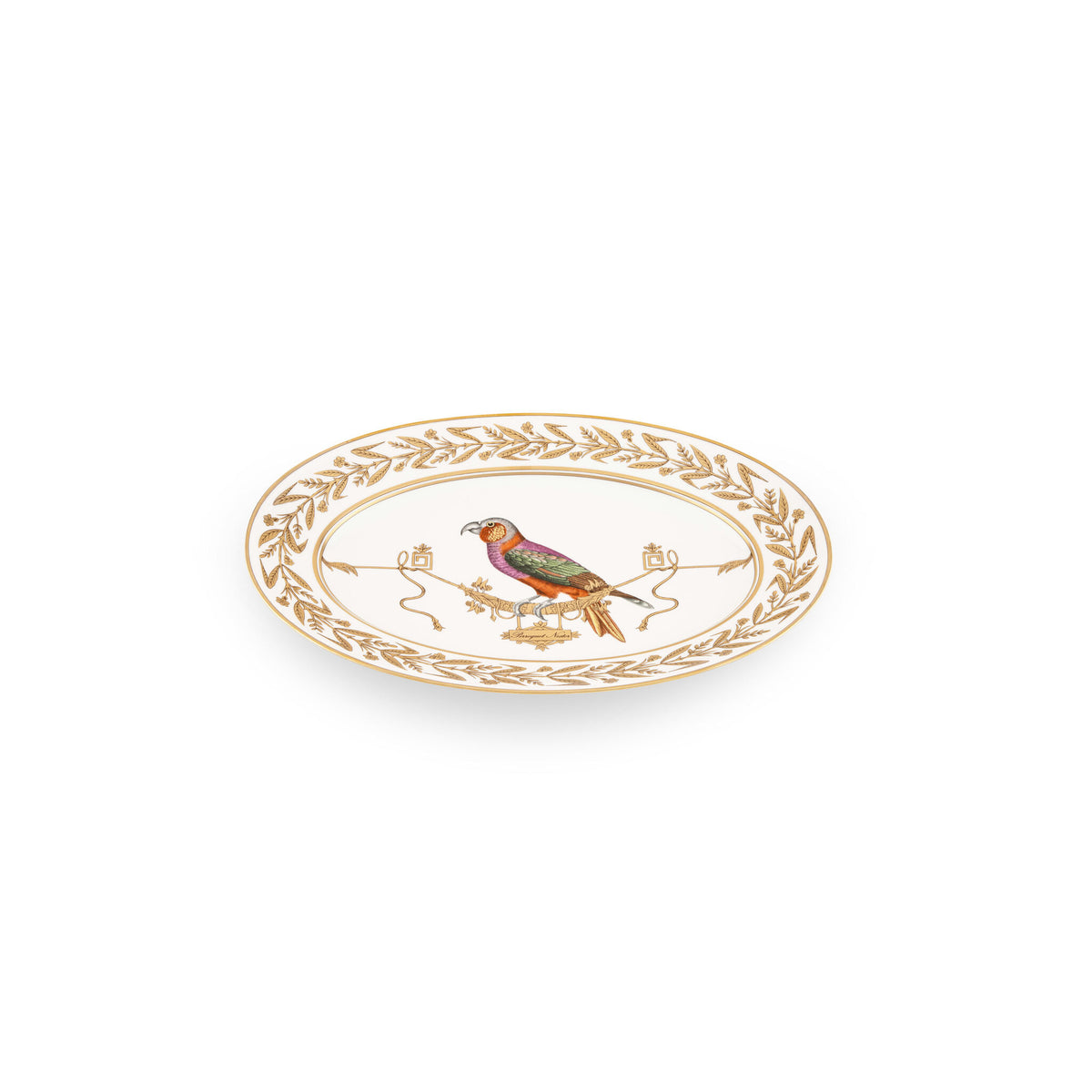 Ginori 1735 Voliere Large Oval Platter, Perroquet Nestor, view 2