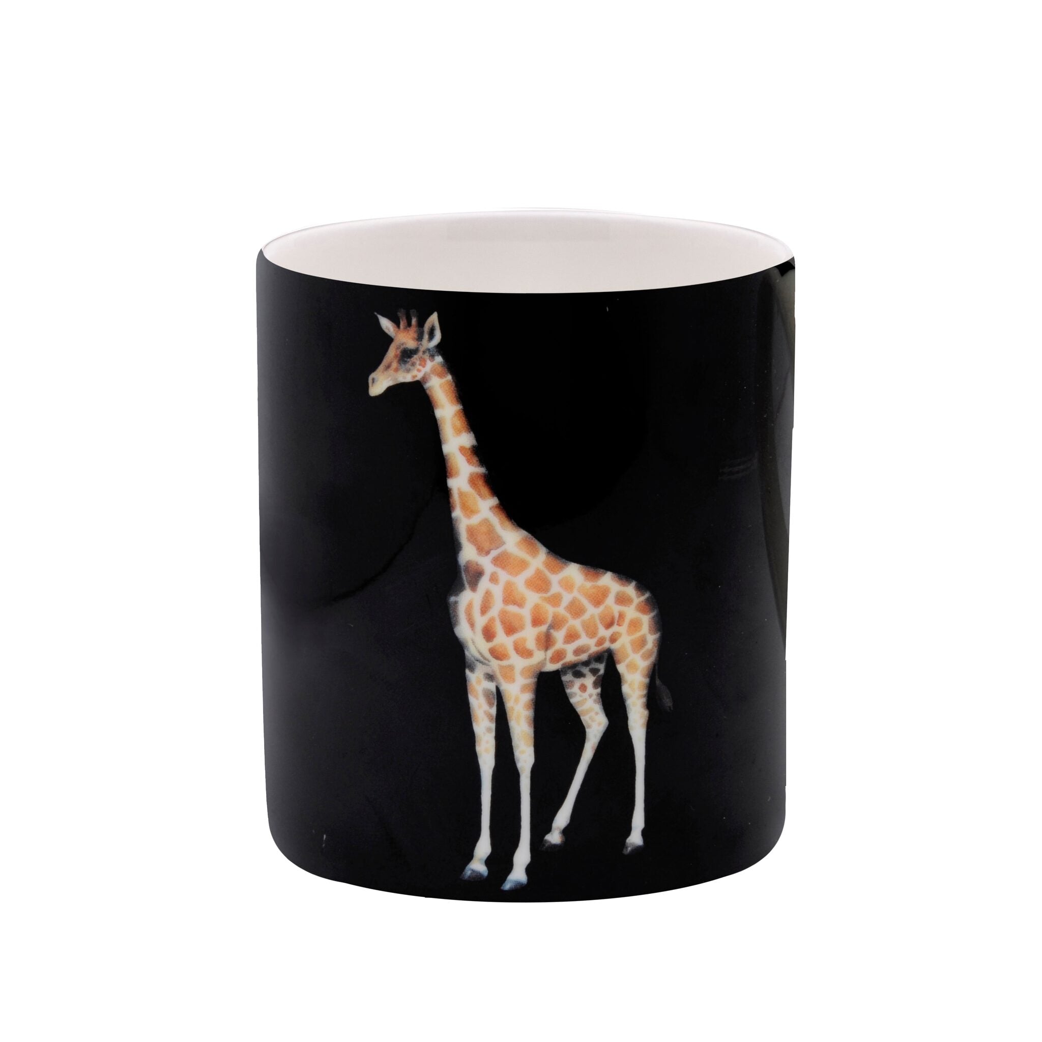 Halcyon Days Magnificent Wildlife Giraffe Pen Pot Pencil Holders & Pen Holder
