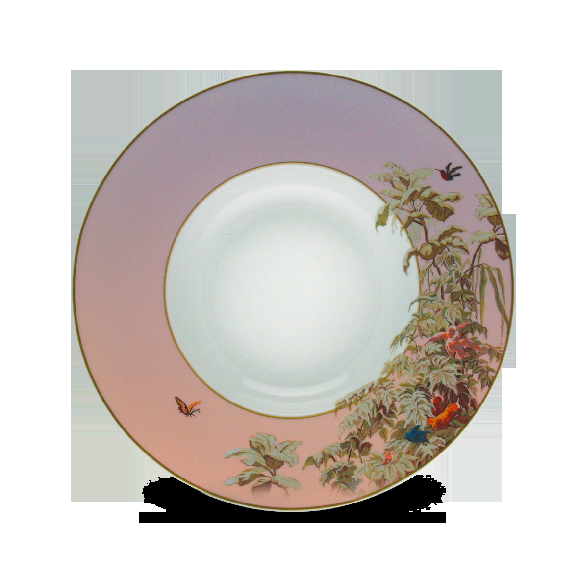 Haviland Le Brésil - Zuber Rim Soup Plate Soup Plates & Rimmed Soup Bowl