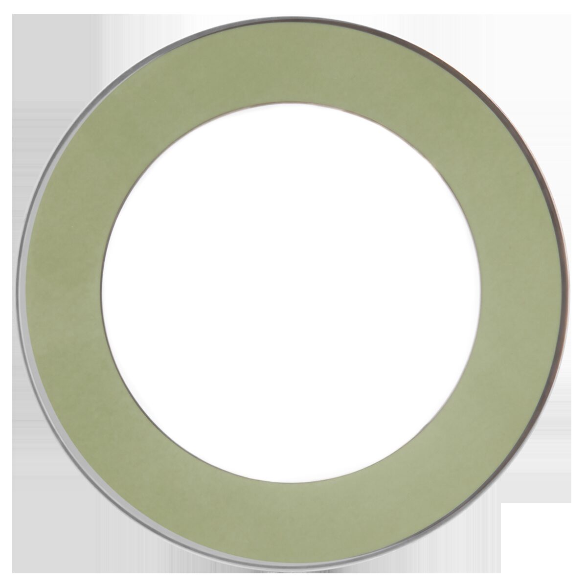 Haviland Les Présentations Light Green Platinum Service Plate