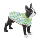 Key Lime fishnet Boston Bull Terrier Figurine figurine, hand-painted Herend porcelain with 24k gold accents