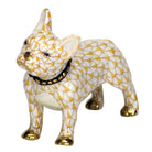 Butterscotch fishnet Frenchie Figurine figurine, hand-painted Herend porcelain with 24k gold accents