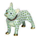 Key Lime fishnet Frenchie Figurine figurine, hand-painted Herend porcelain with 24k gold accents