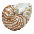 Hand-painted Herend Nautilus Figurine in fine porcelain, 7in L X 5.25in H, on a white background