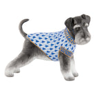 Schnauzer Figurine in hand-painted Sapphire porcelain by Herend of Hungary