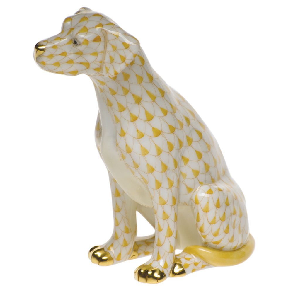 Butterscotch fishnet Seated Dog Figurine figurine, hand-painted Herend porcelain with 24k gold accents
