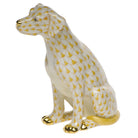 Butterscotch fishnet Seated Dog Figurine figurine, hand-painted Herend porcelain with 24k gold accents