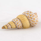Herend Staircase Shell Figurine – Butterscotch, alternate view