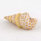 Herend Staircase Shell Figurine – Butterscotch, alternate view