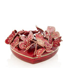 Jay Strongwater Amelia Heart Box