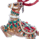 Jay Strongwater Comet Glass Ornament, detail view