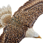 Jay Strongwater Franklin Soaring Eagle Figurine - 25th Anniversary, alternate view