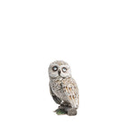 Jay Strongwater Hildy Owl 5" Figurine