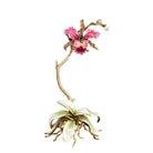 Jay Strongwater Marietta Orchid Objet Figurine