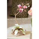 Jay Strongwater Marietta Orchid Objet Figurine, alternate view