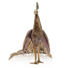 Jay Strongwater Theseus Grand Peacock Figurine, alternate view
