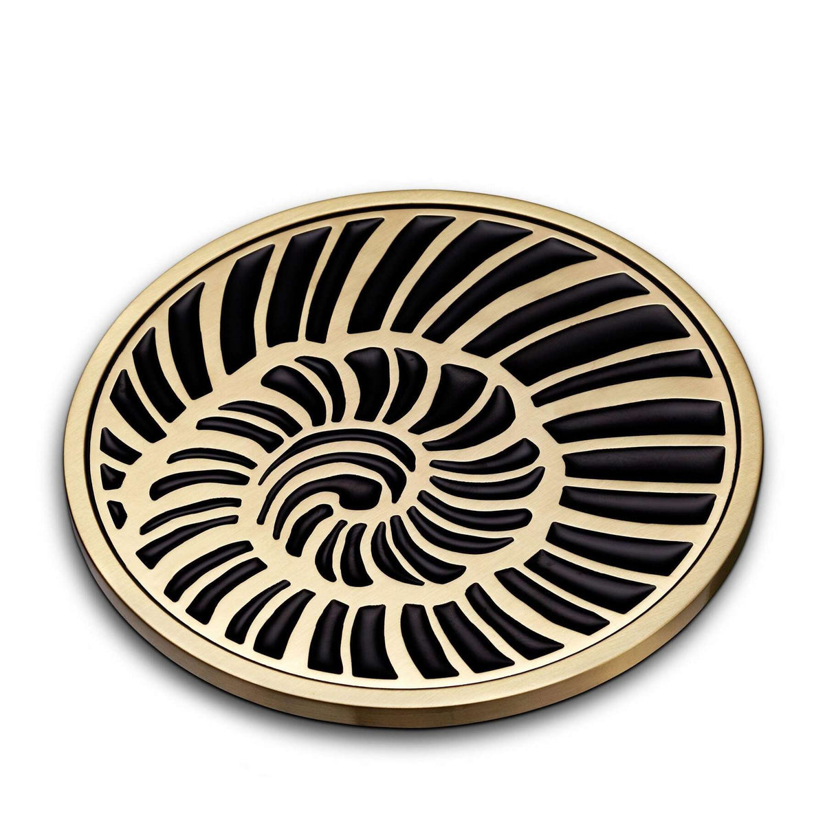 L'Objet Seashell Coasters (Set of 4), alternate view