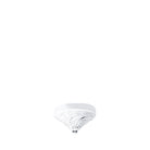 Lalique Coralline Ceiling Light Close To Ceiling Light Fixture