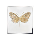 Lalique Eternal Frame