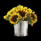 Match Pewter Vaso Vase