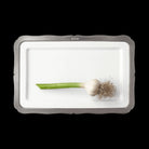 Match Pewter Viviana Rectangular Platter, Medium