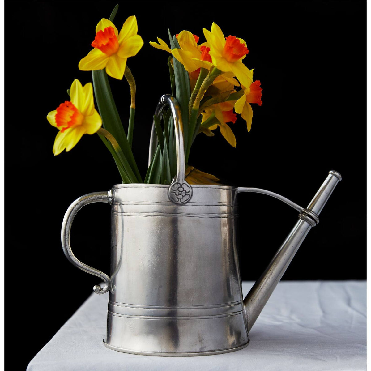 Match Pewter Watering Can Decorative Pitcher, alternate view