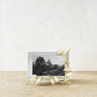 Michael Aram Butterfly Ginkgo Gold Reflective Frame, alternate view