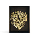Michael Aram Fan Coral Shadow Box Wall Sculpture — Gold