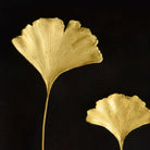 Michael Aram Ginkgo Leaf Shadow Box Wall Sculpture, alternate view