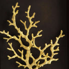 Michael Aram Ocean Coral Shadow Box Wall Sculpture, alternate view
