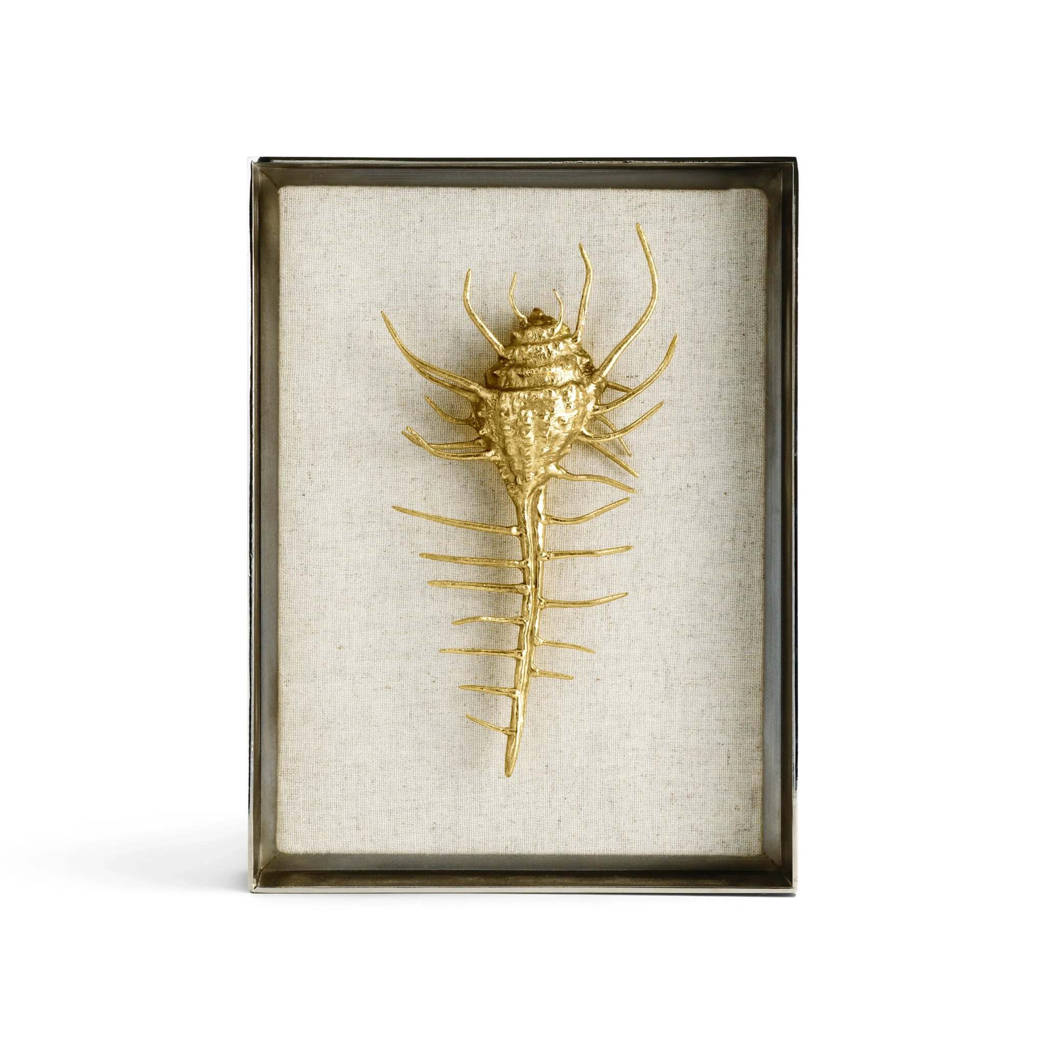 Michael Aram Venus Comb Shell Fabric Shadow Box Wall Sculpture
