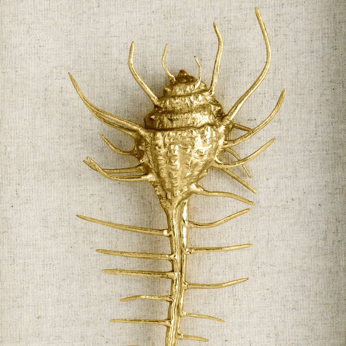 Michael Aram Venus Comb Shell Fabric Shadow Box Wall Sculpture, alternate view