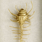 Michael Aram Venus Comb Shell Fabric Shadow Box Wall Sculpture, alternate view