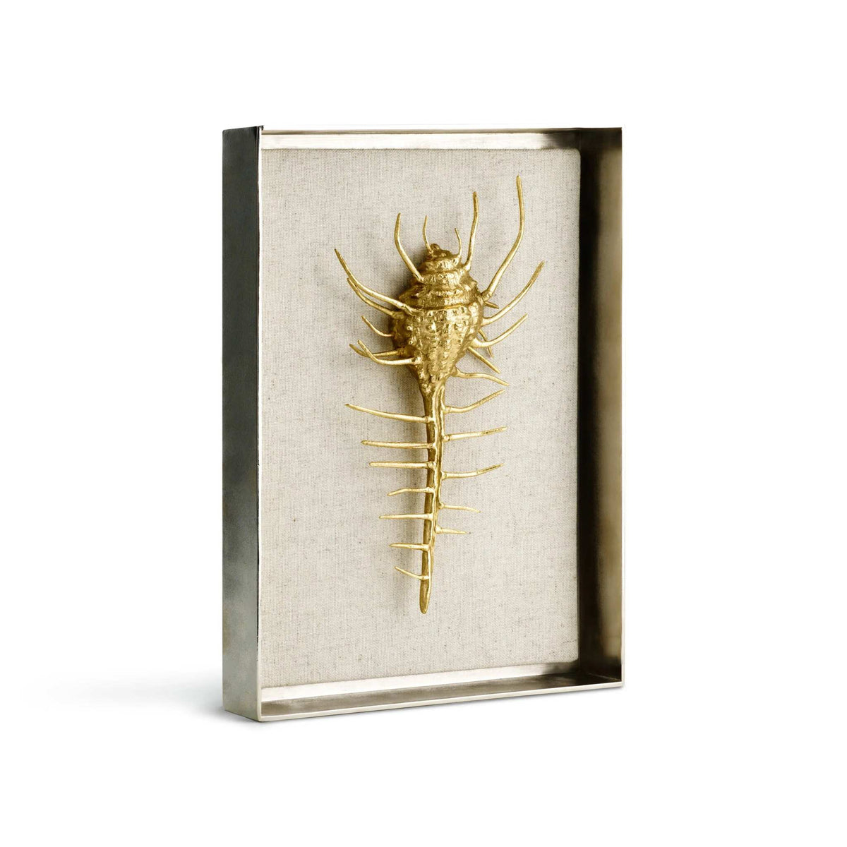 Michael Aram Venus Comb Shell Fabric Shadow Box Wall Sculpture, alternate view