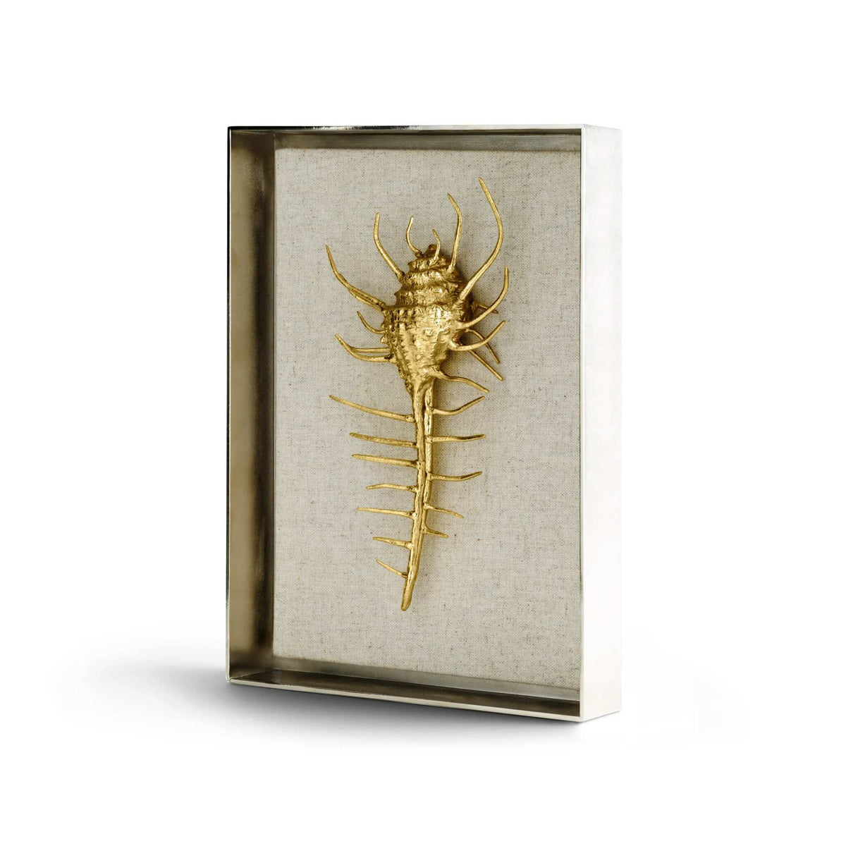 Michael Aram Venus Comb Shell Fabric Shadow Box Wall Sculpture, alternate view