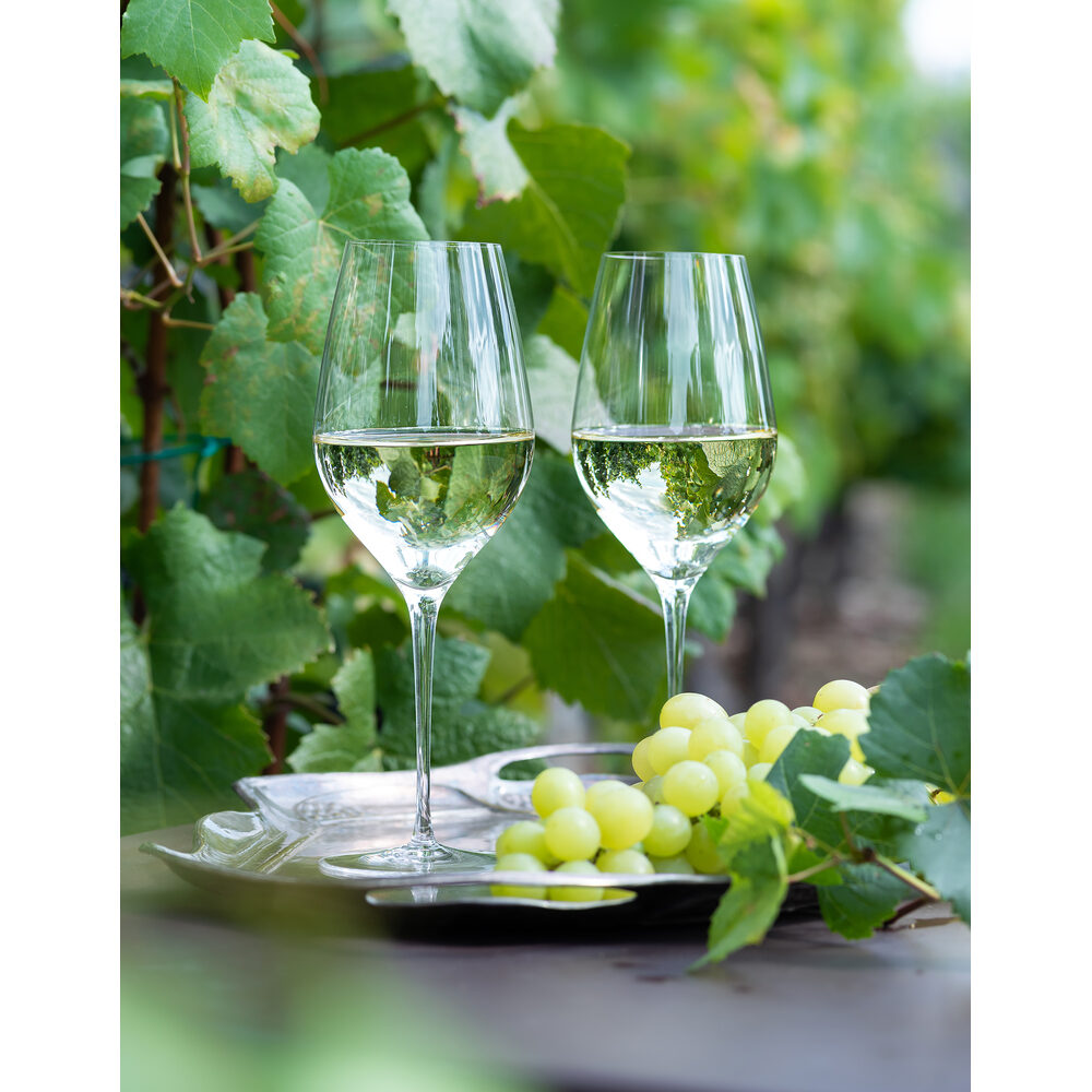 Moser Oeno Wine Glass 500 ml in a styled setting