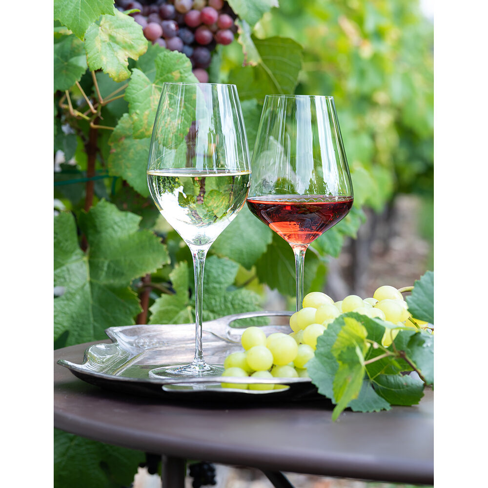 Moser Oeno Wine Glass 500 ml in a styled setting