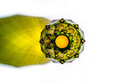 Moser Pineapple Vase 29.5 cm in a styled setting