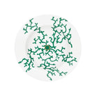 Raynaud Cristobal Emerald Pasta Plate, 9 3/4 In, 16 oz