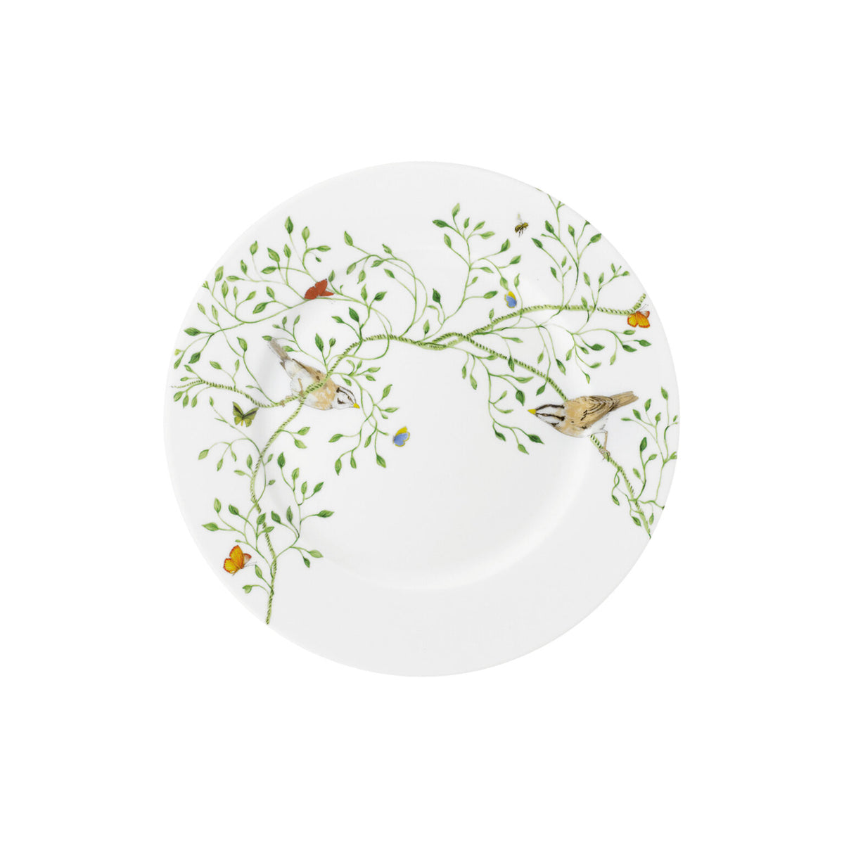 Raynaud Histoire Naturelle Salad Plate, 7 3/4 in