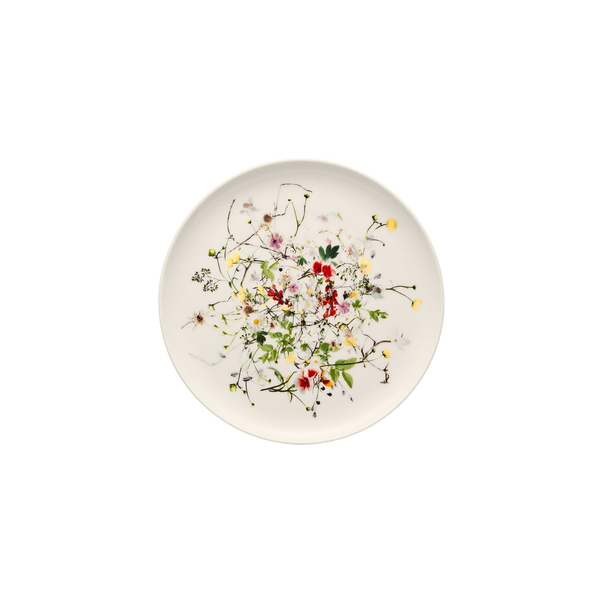 Rosenthal Brillance Bone China Fleurs Sauvages Bread & Butter Plate, 7 in