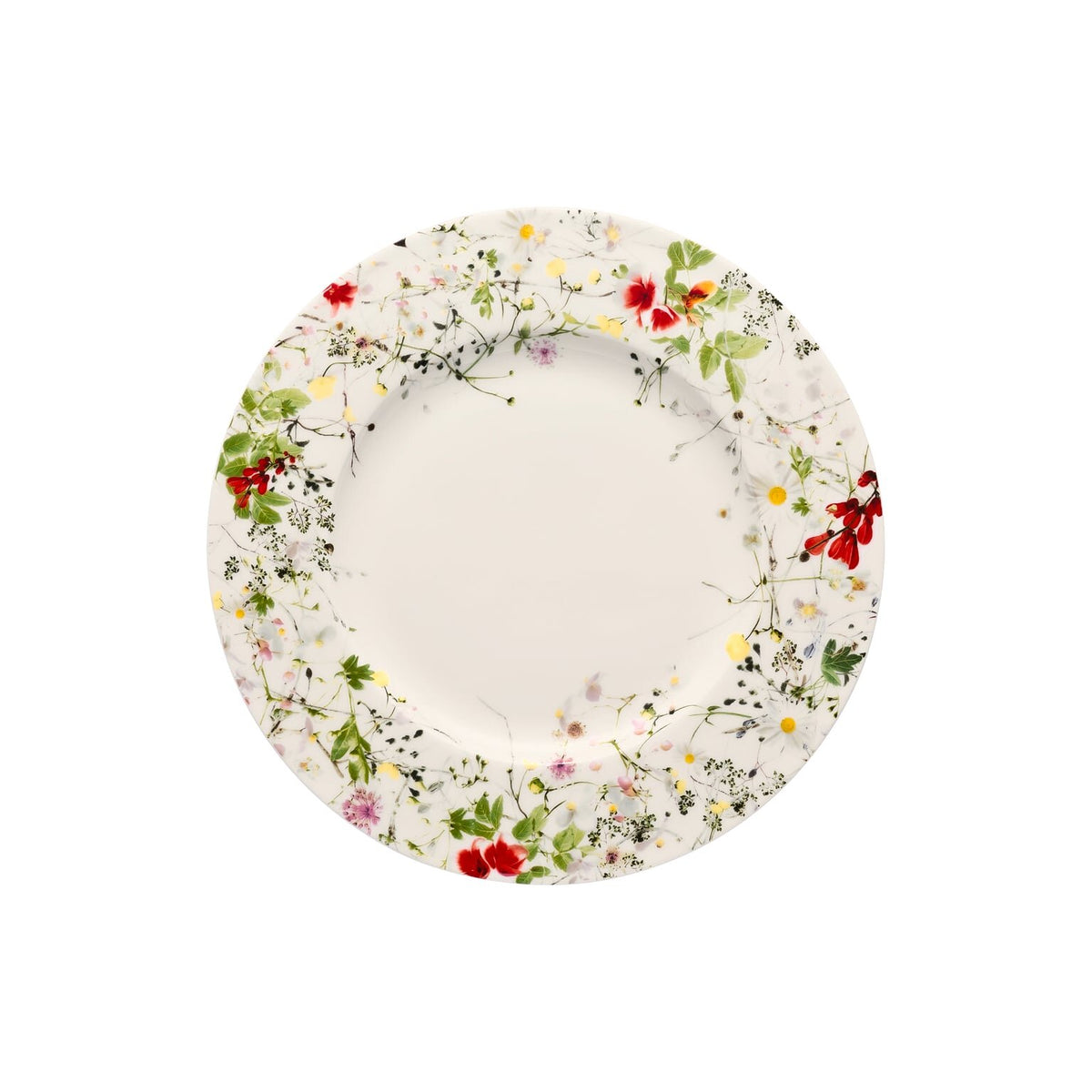Rosenthal Brillance Bone China Fleurs Sauvages Salad Rim Plate 9 in