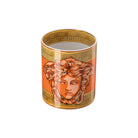Versace Medusa Amplified Orange Coin Vase, 7 in, view 3